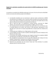 SACEM 2019 Rapport Commission